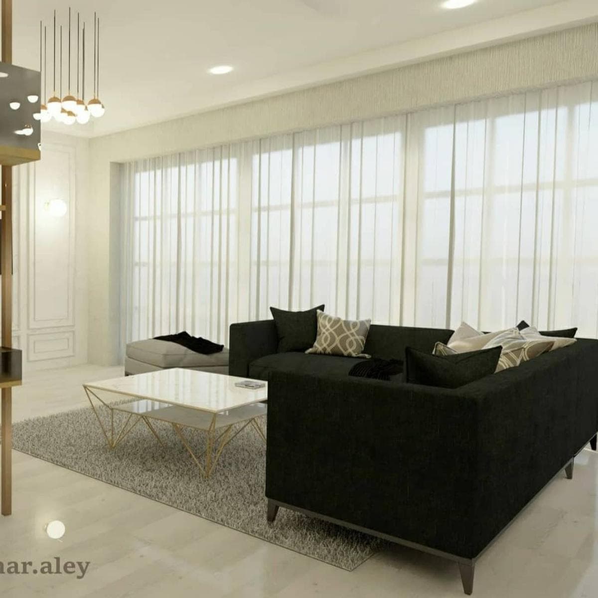 Aleyna Karacaöz Projesi